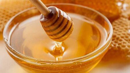 Anmat prohíbe venta de liebre en escabeche, un aceite de oliva y una miel