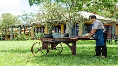 Concepción del Yaguareté Corá - Corrientes. Foto NA