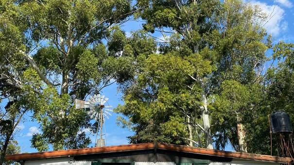 Parrilla y juegos para los más chicos a solo $8.000: cómo y dónde pasar un día inolvidable a menos de 100 km del Obelisco