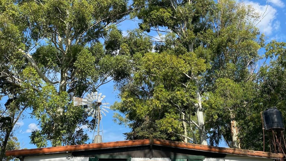 El lugar está preparado para que cada visitante encuentre su plan