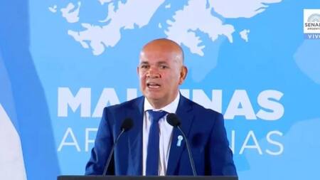 Malvinas, acto en el Senado