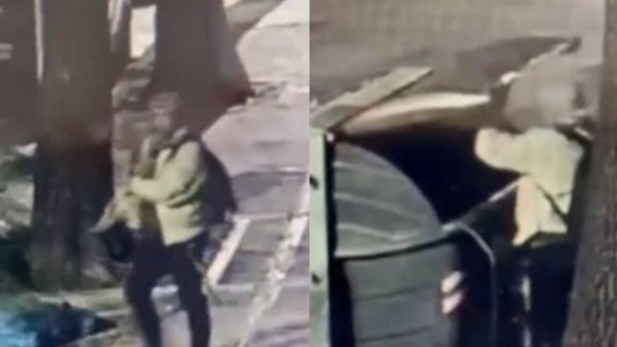 Hombre arrojó a un perro a la basura en Monte Castro. Foto: NA.