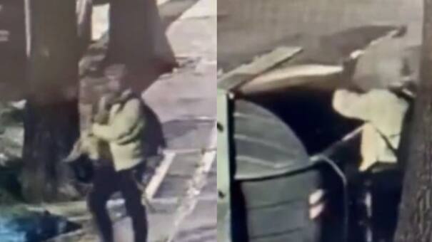 Un hombre tiró a un perro a la basura y vecinos lo rescataron: "Escuchamos los llantos"