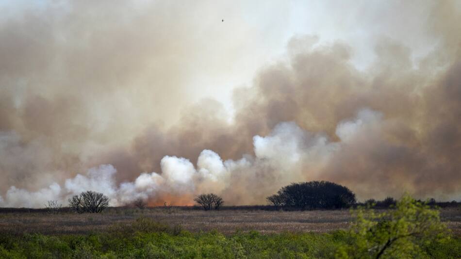 Incendios en Entre Ríos. Foto: NA.
