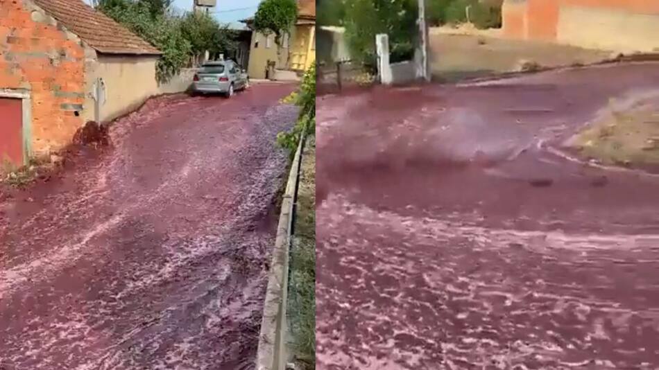 Río de vino en un pueblo de Portugal. Foto: Captura de video