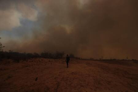 Incendios en Chile. Foto: Reuters.