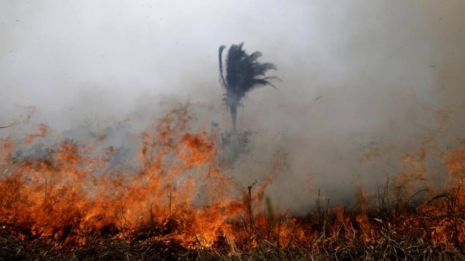 Incendio Amazonia, Brasil, REUTERS