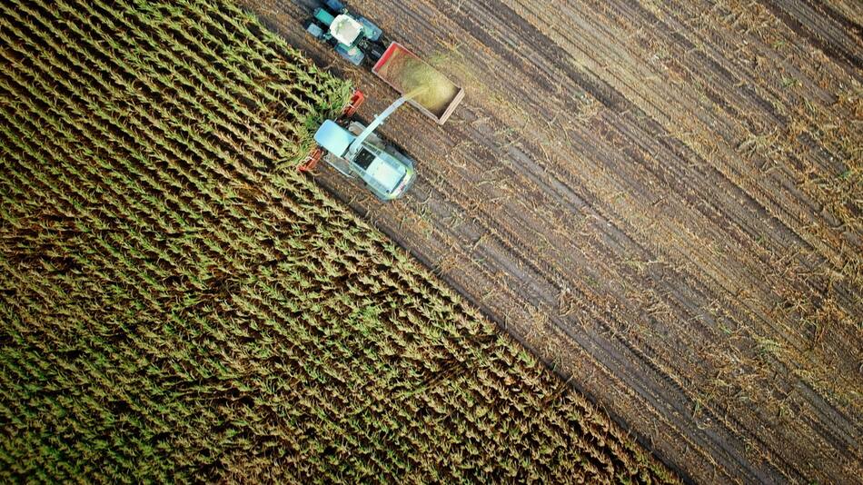 agroalimentos. Fuente: Unsplash