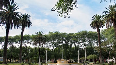 San Pedro, Buenos Aires, Argentina - Foto: Reuters