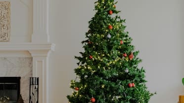 Adiós a las clásicas guirnaldas: la tendencia 2025 que revoluciona la decoración del árbol de Navidad