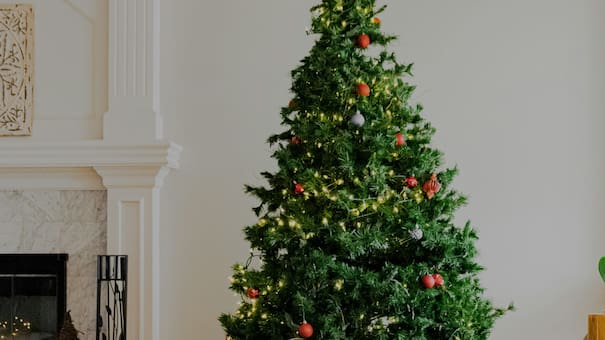 Adiós a las clásicas guirnaldas: la tendencia 2025 que revoluciona la decoración del árbol de Navidad