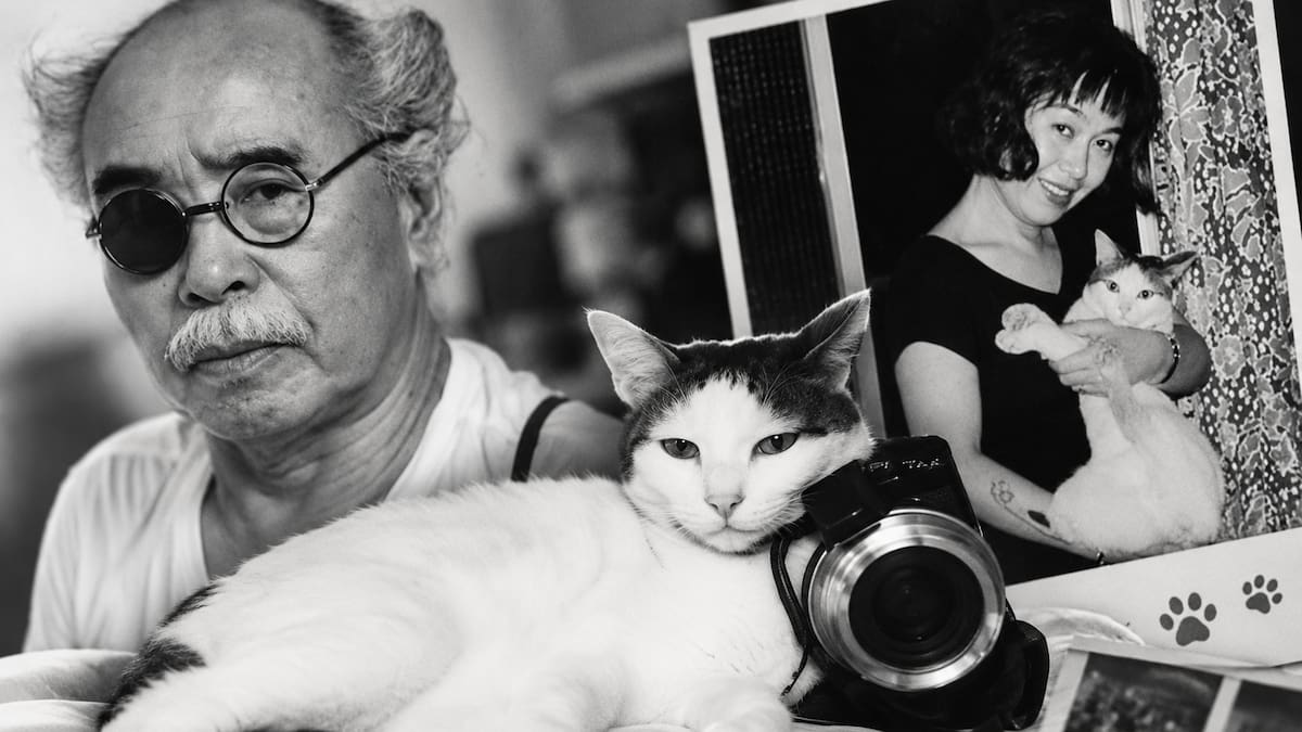 Chiro, la gata del fotógrafo japonés Nobuyoshi Araki, que lo acompañó durante 22 años y protagonizó cientos de sus fotografías.