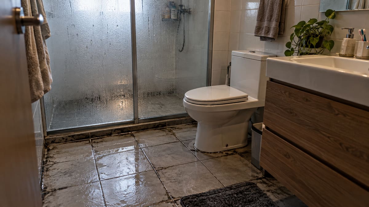 Baño; suciedad; limpieza; higiene.