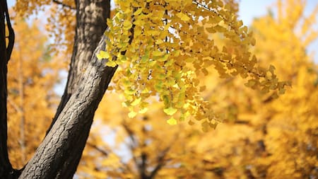 ¿Problemas legales?