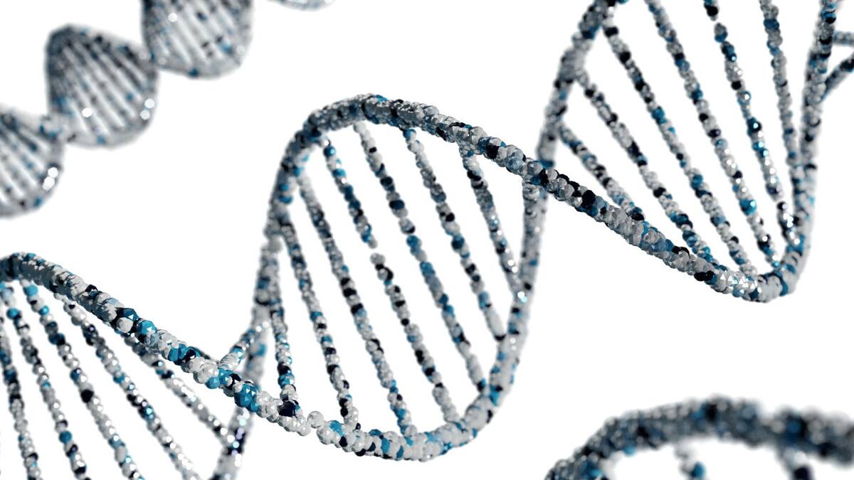 Un ADN "único": el descubrimiento científico que podría cambiar las leyes de la genética