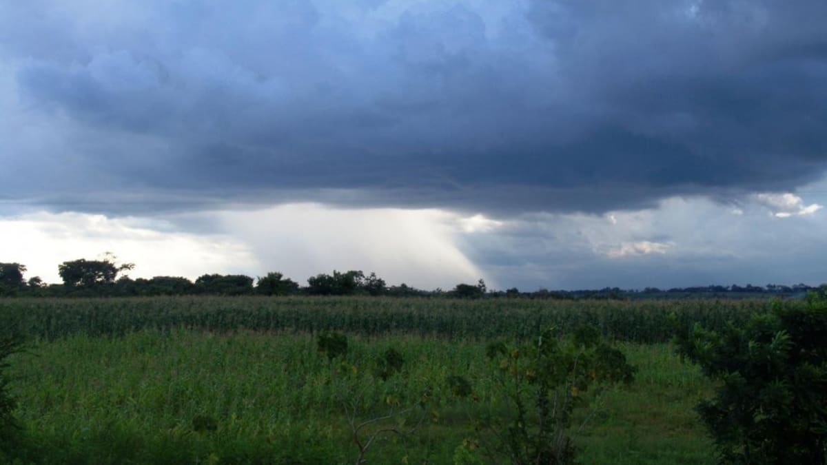 Agro clima cereales