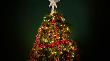 Nochebuena ilumina Buenos Aires: dónde se pueden visitar árboles de Navidad gratis en CABA