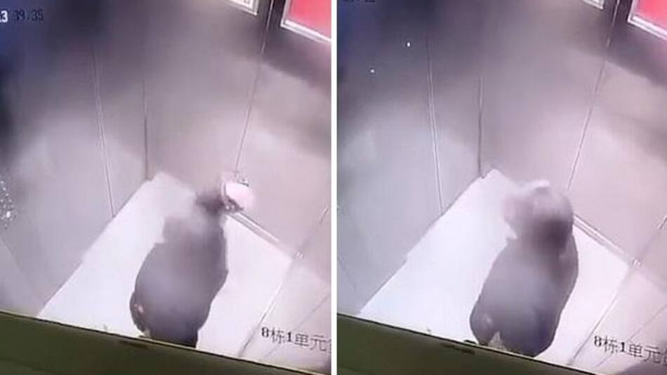 Foto, anciana lanza flemas dentro de un ascensor en China en medio de un nuevo brote de covid-19