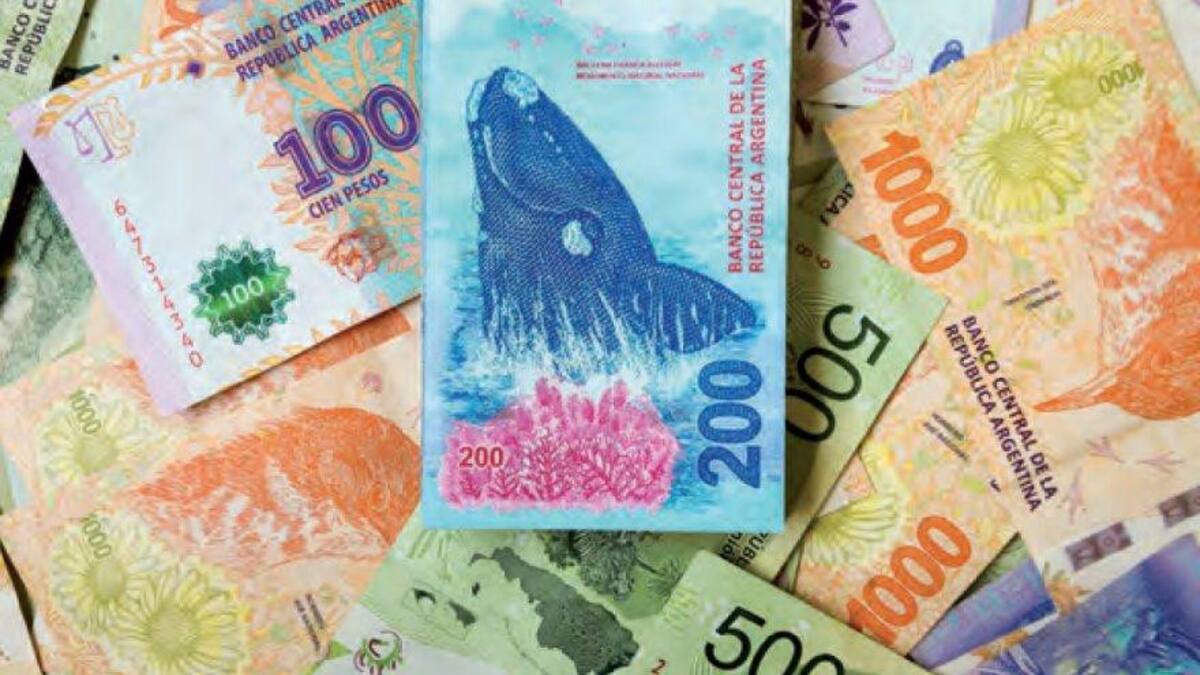 Pesos, billetes, dinero