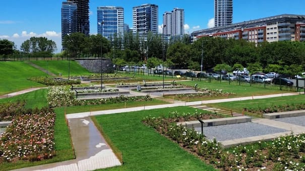 Un rosedal oculto en la Ciudad: no está en Palermo y se puede visitar gratis todos los días