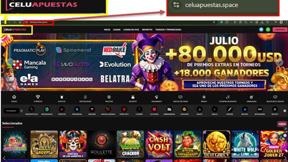 Golpe a la criminalidad económica organizada: desarticularon una red de juego clandestino y lavado de activos