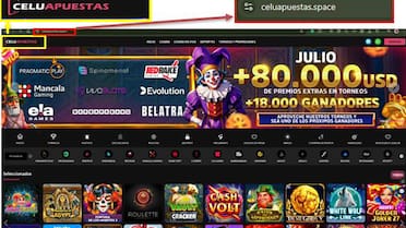 Golpe a la criminalidad económica organizada: desarticularon una red de juego clandestino y lavado de activos