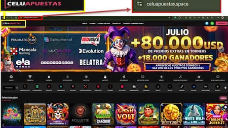 Golpe a la criminalidad económica organizada: desarticularon una red de juego clandestino y lavado de activos