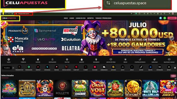 Golpe a la criminalidad económica organizada: desarticularon una red de juego clandestino y lavado de activos