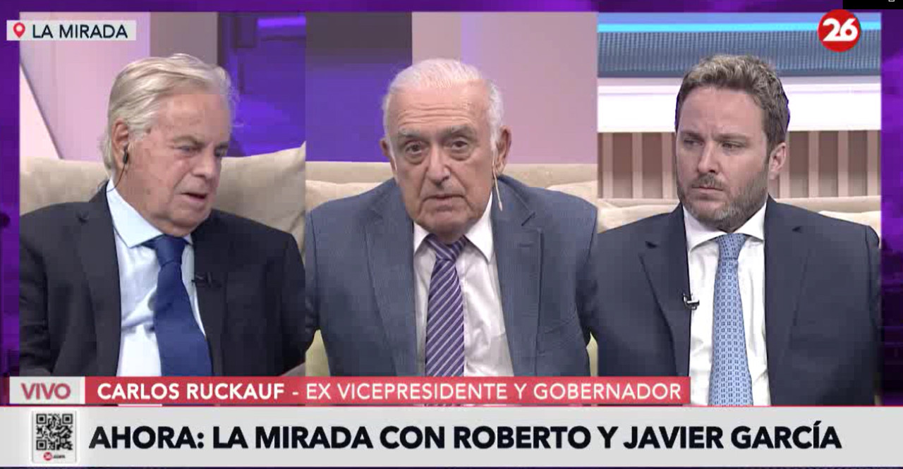 Carlos Ruckauf en La Mirada. Foto: Captura de video.