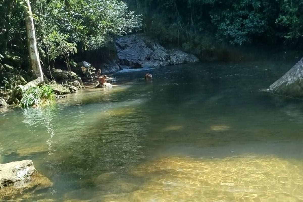 Voluntariado sobre bioconstrucción en Río de Janeiro.
