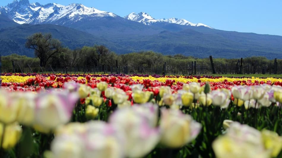 Arroyo Escondido. Foto: booking.com
