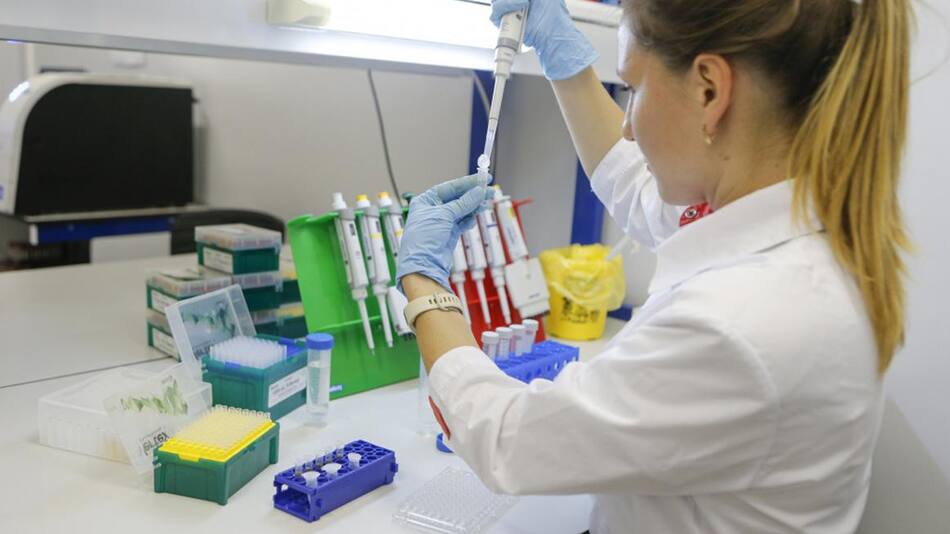 Coronavirus, vacuna, pandemia, NA