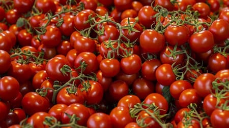 Tomates. Foto: Pixabay