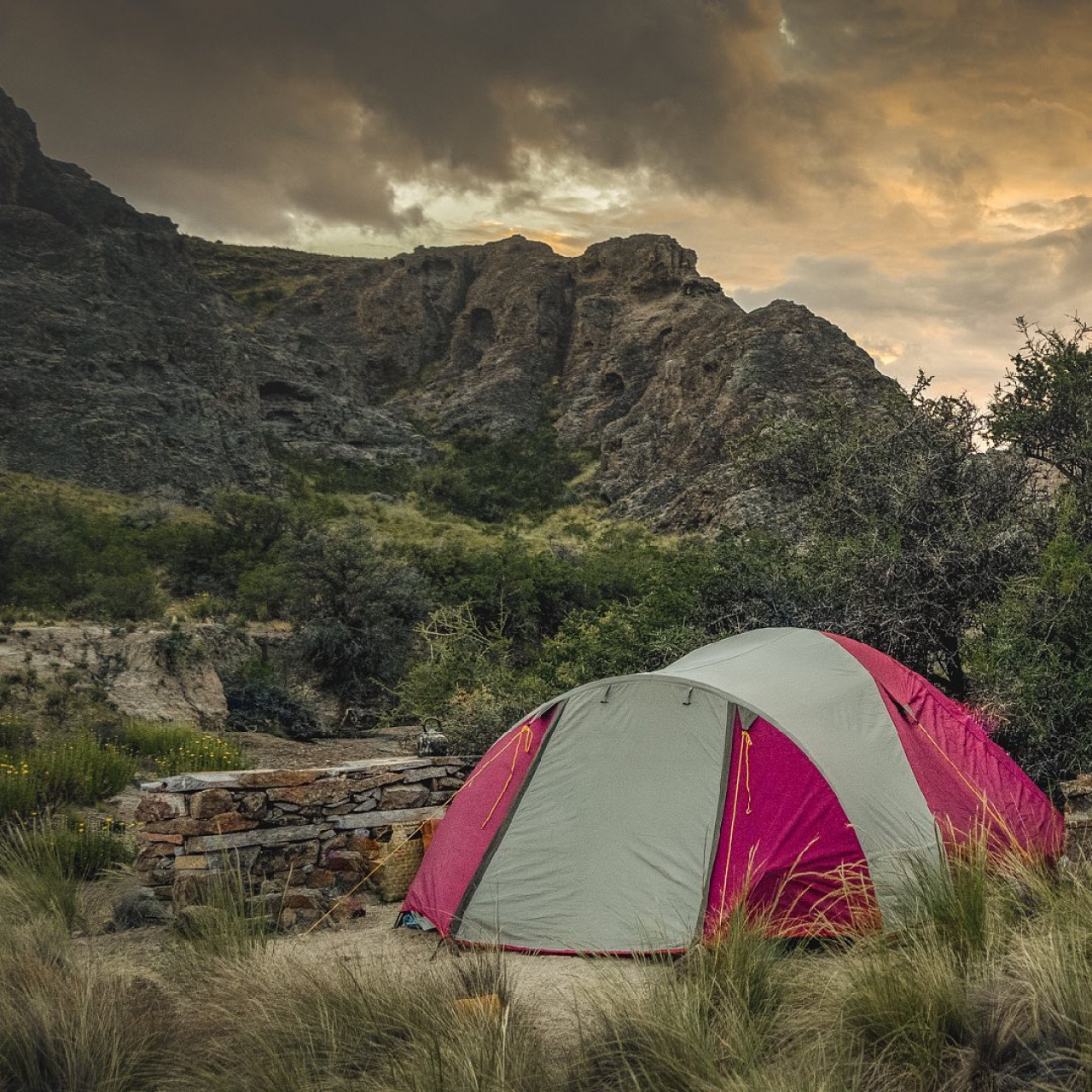 Camping Cañadón del Sauce, en Chubut. Foto: Facebook / Fundación Rewilding Argentina.