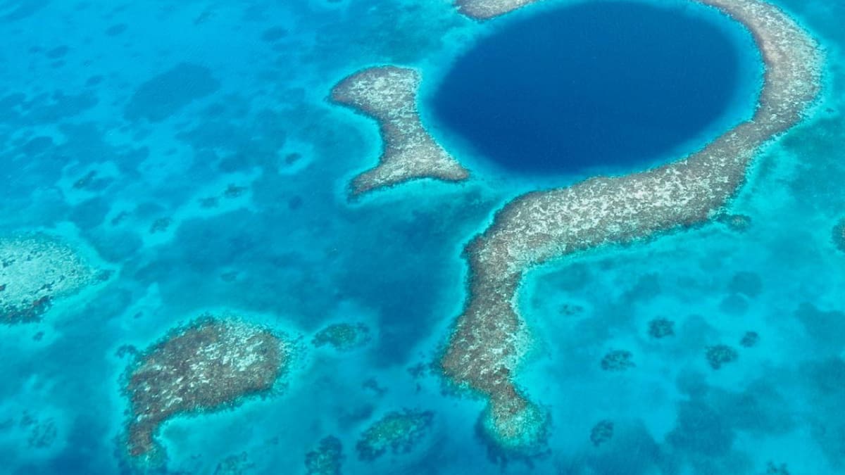 Hallazgo mundial: científicos descubrieron un "salón submarino" en el Gran Agujero Azul de Belice