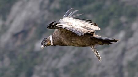 Parque Nacional Quebrada del Condorito