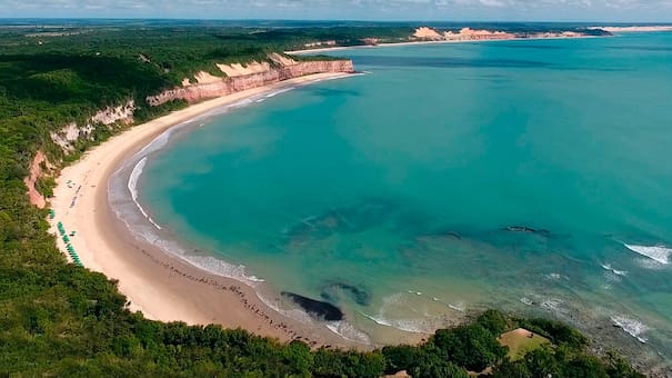 Vacaciones en Brasil: cuál es la playa paradisíaca donde podés nadar junto a los delfines