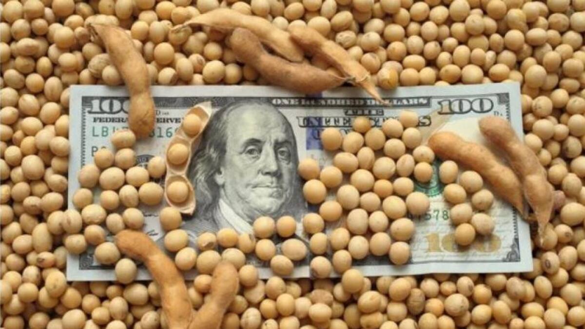 Dolar Soja 2. Foto: NA.
