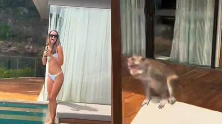 Fueron sorprendidas por monos. Foto: captura TikTok/sarahrudasics