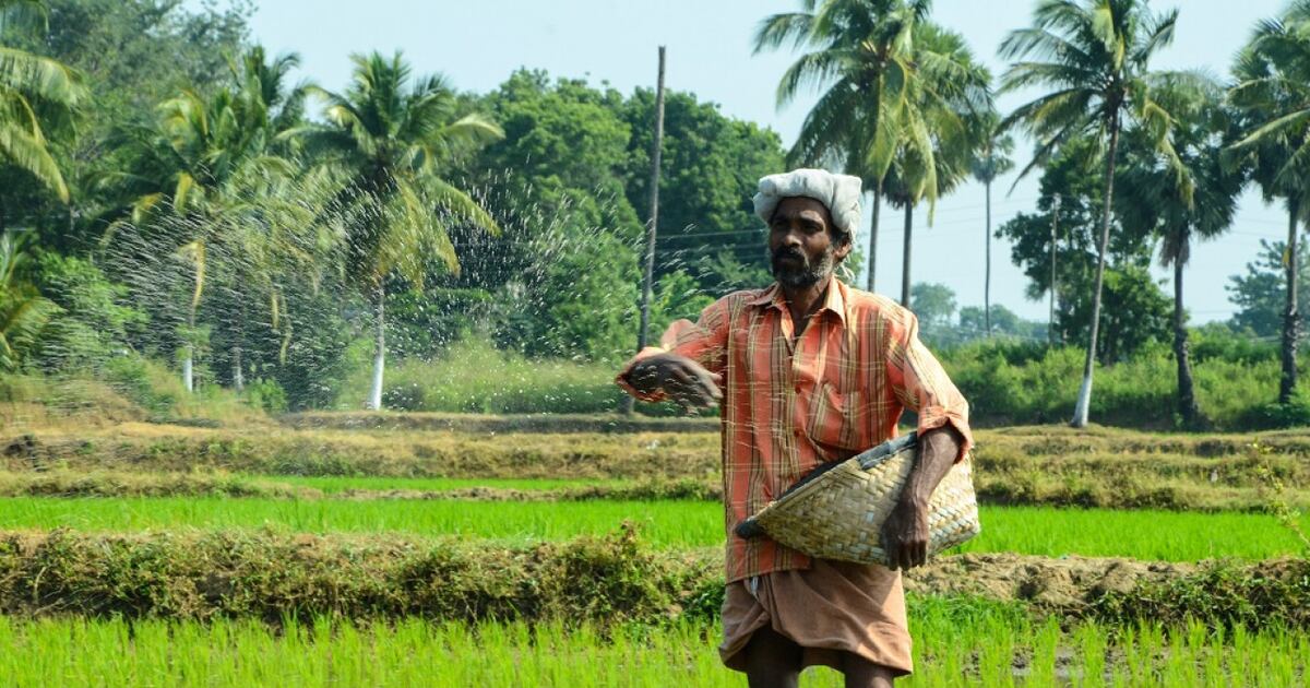 Problemática mundial: ¿cuántos trabajadores son afectados por la crisis ...