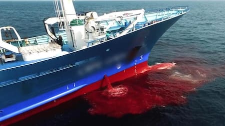 Depredadores marinos en mar internacional