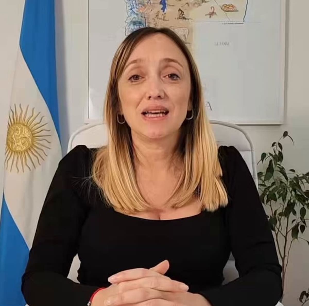 Anabel Fernández Sagasti.