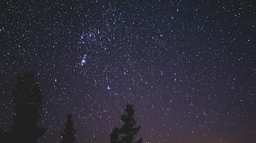 Lluvia de estrellas Perseidas en Argentina: la mejor hora para ver el espectáculo astronómico