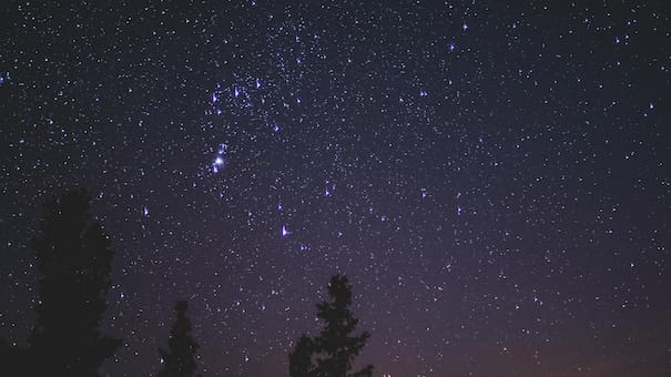 Lluvia de estrellas Perseidas en Argentina: la mejor hora para ver el espectáculo astronómico