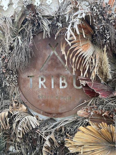 Tren de la Costa. Foto: Pato Daniele