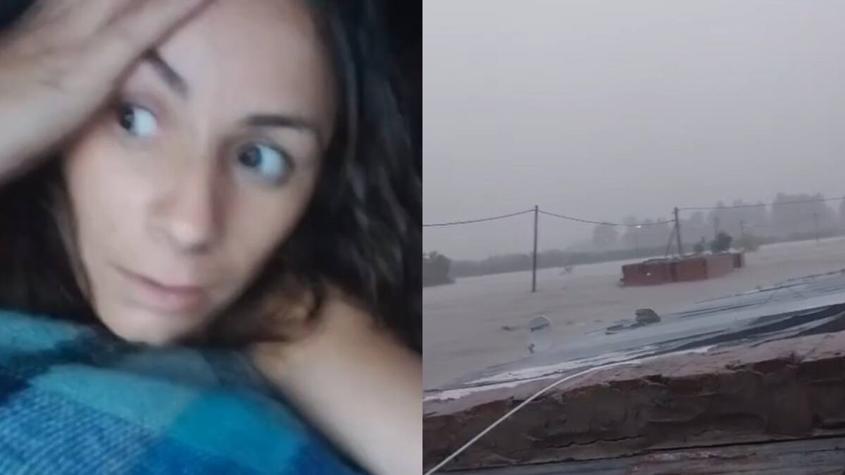 Desesperado pedido de ayuda en medio de las inundaciones en Bahía Blanca. Fotos: captura.