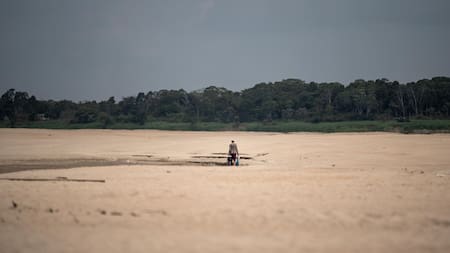Sequía en Amazonas. Foto: EFE.