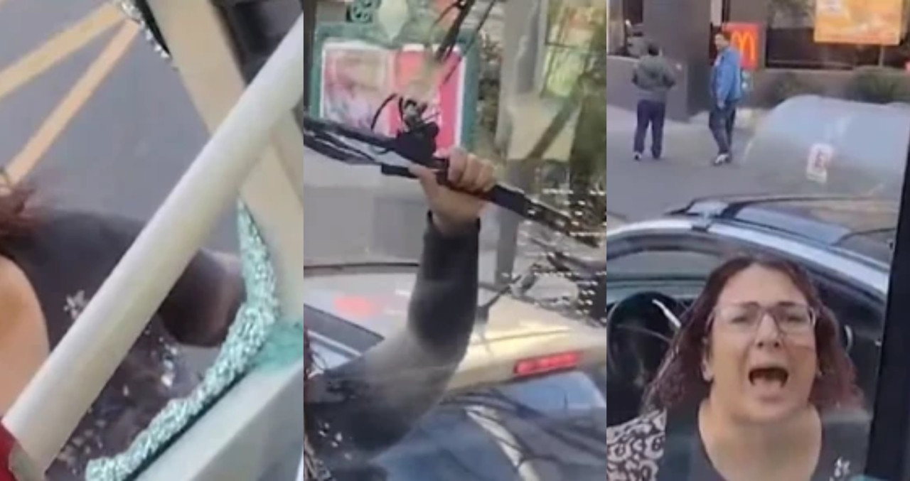 Una señora rompió un colectivo en medio de un ataque de furia. Fotos: captura video.