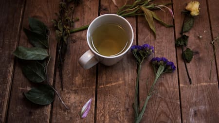 Té, infusión, plantas, hierbas, medicinal. Foto: Unsplash