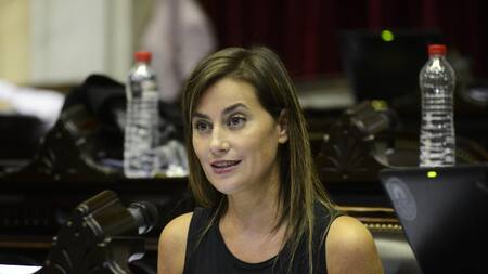 Vanesa Massetani, diputada. Foto: prensa Diputados